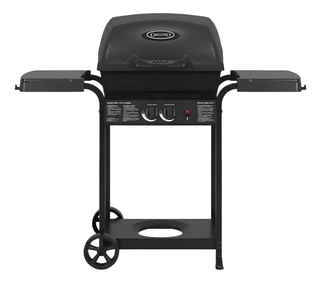 Barbacoa a gas